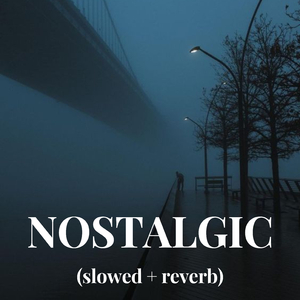 国产美女做爰A片免费网址下载
