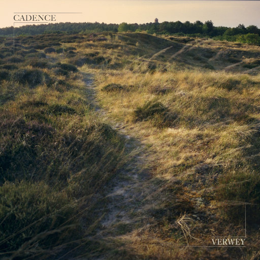 国产美女做爰A片免费网址下载
